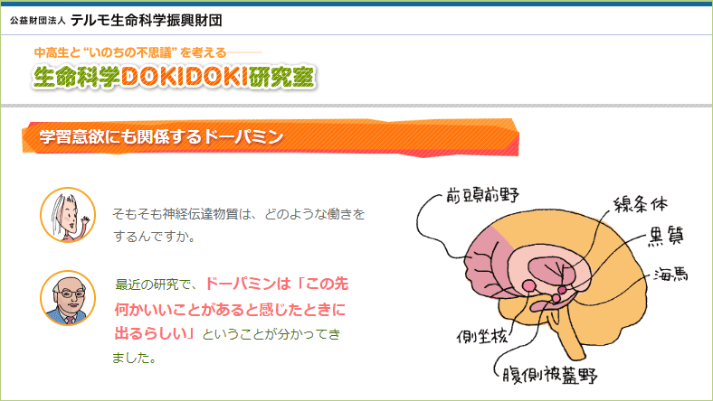 物欲がすごい時 なぜ強い やばい原因 止まらない心理とストレス Mmon